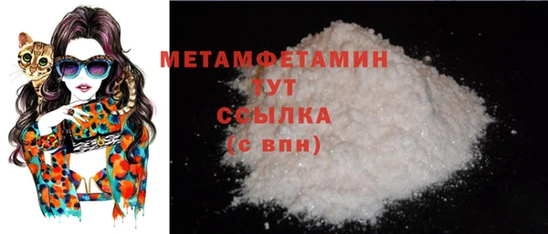 хмурый Болотное