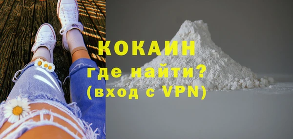 хмурый Болотное