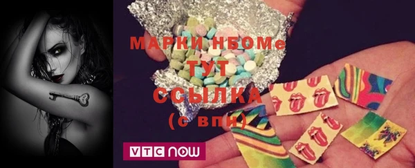 хмурый Болотное