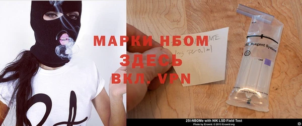 хмурый Болотное