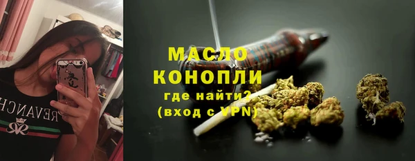шишки Билибино