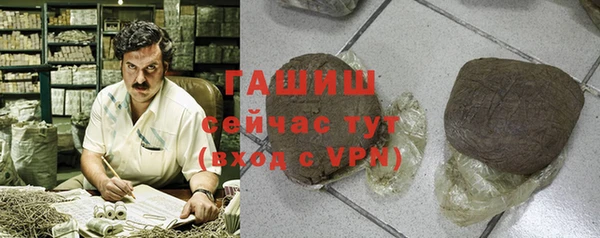 хмурый Болотное
