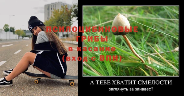 хмурый Болотное