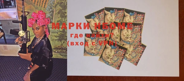 шишки Билибино