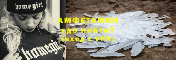 шишки Билибино