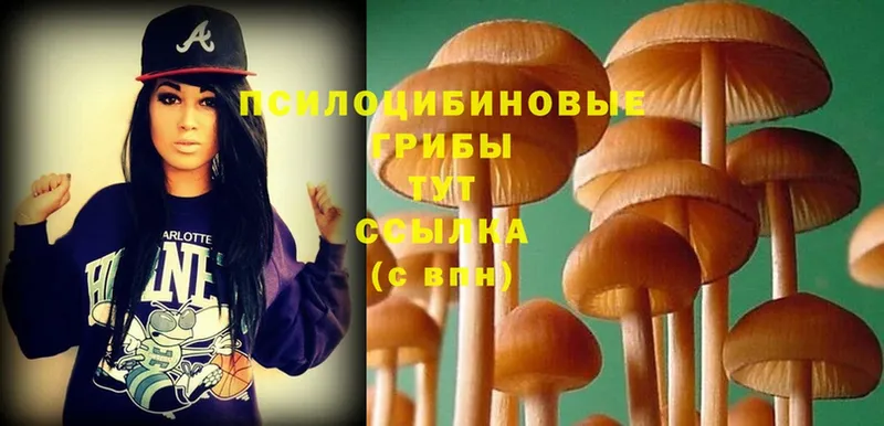 Галлюциногенные грибы MAGIC MUSHROOMS  мега ONION  Кашин  закладка 